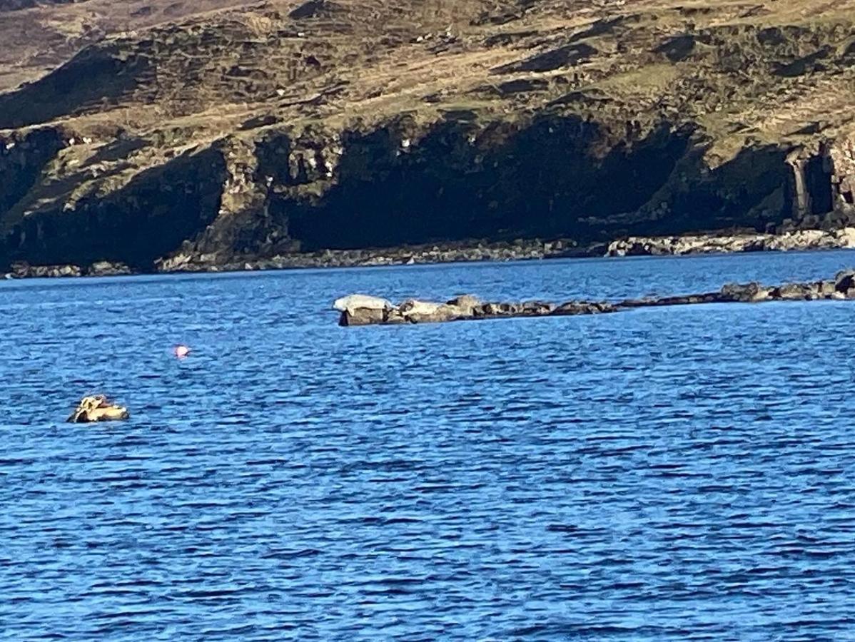 Carters Rest Guesthouse Milovaig エクステリア 写真