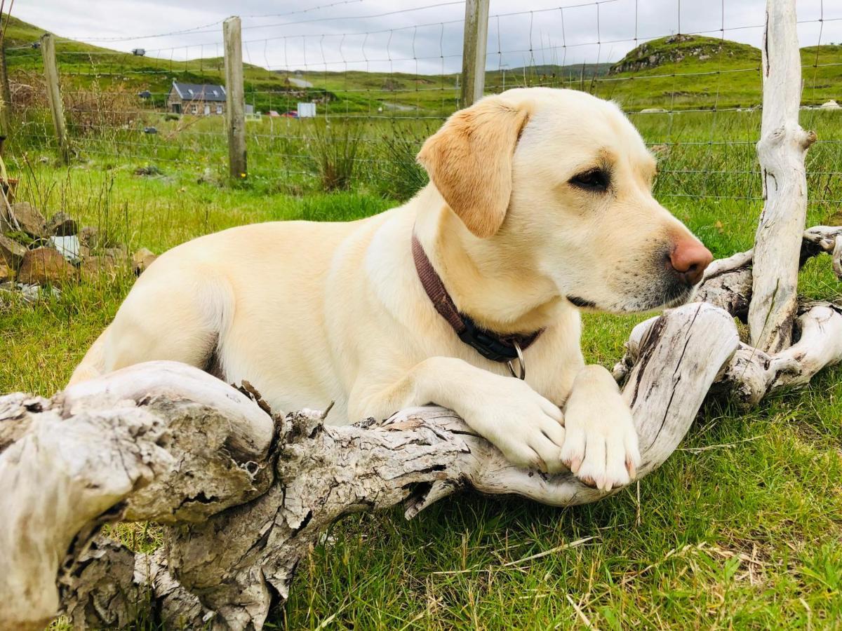 Carters Rest Guesthouse Milovaig エクステリア 写真